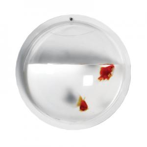 Fish Pod Fish Pod
